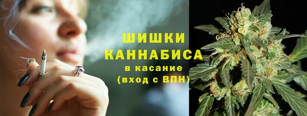бутират Гусев