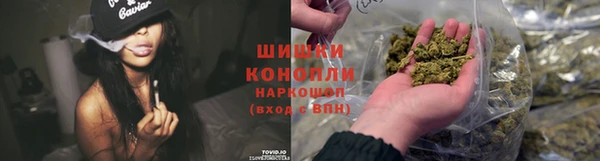 метадон Дмитриев
