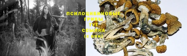 прущая мука Гусь-Хрустальный